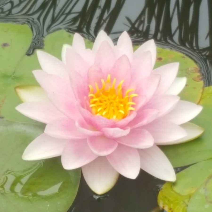 20190813_155820